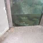 SF Zoo 2007 137