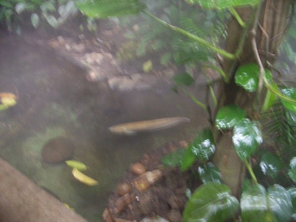 SF Zoo 2007 138