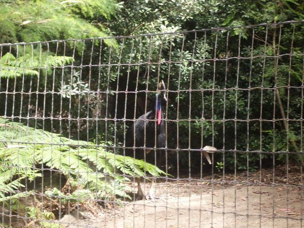 SF Zoo 2007 144