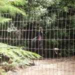 SF Zoo 2007 144