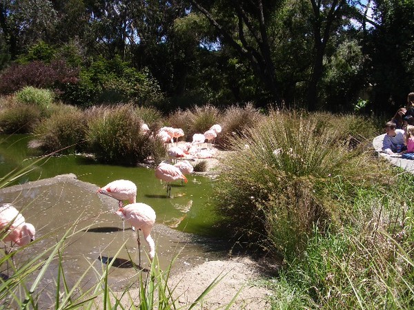 SF Zoo 2007 154