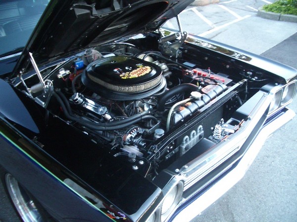 Car Crazy BBQ & Car show 075