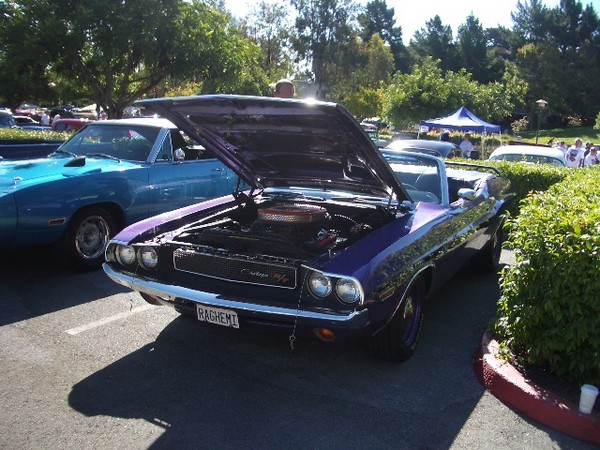 Car Crazy BBQ & Car show 106