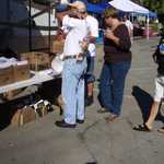 Car Crazy BBQ & Car show 117