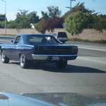 Car Crazy BBQ & Car show 204