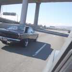 Car Crazy BBQ & Car show 212