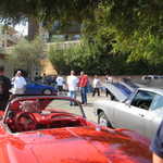 Gotelli's 45 Anniversary 030