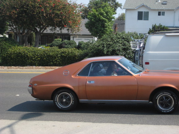Gotelli's 45 Anniversary 045