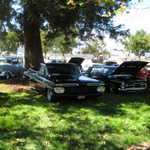 ASI show 046