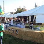 ASI show 120