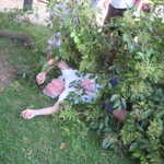 Not enough to warn Sam in time it seems!