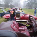 Bondo Lou and his armada of custom cars.