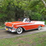 Jimmy's picnic 2007 187