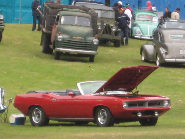 440-6 pack 'Cuda