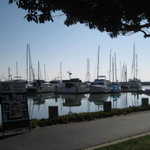Perfect weather on the San Francisco bay today.