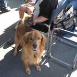 Brisbane Marina show 2007 064