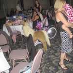 Father daughter Dance 048