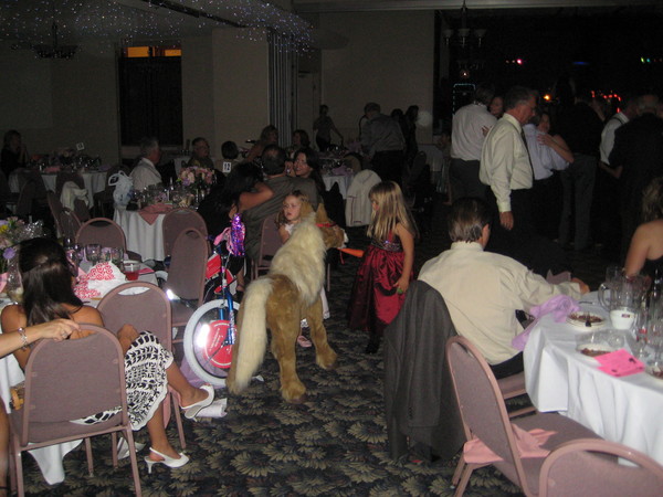 Father daughter Dance 082