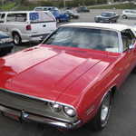 Joe and Kathy's very beautiful challenger.