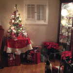 Darlene's Christmas party 2007 029