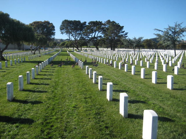 GG National cemetary in San Bruno, Ca.