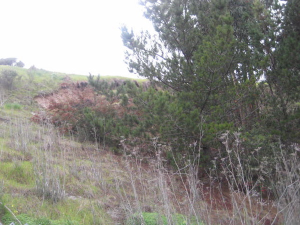 Mud slide 016