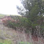 Mud slide 016