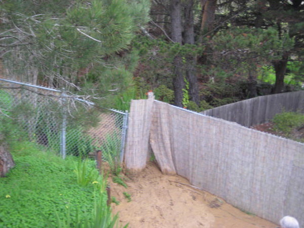 Mud slide 019