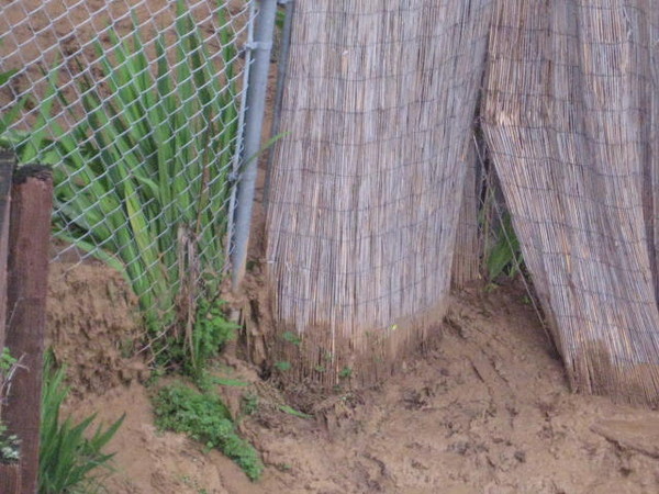 Mud slide 020