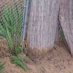 Mud slide 020
