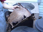 Rusty Fender 1