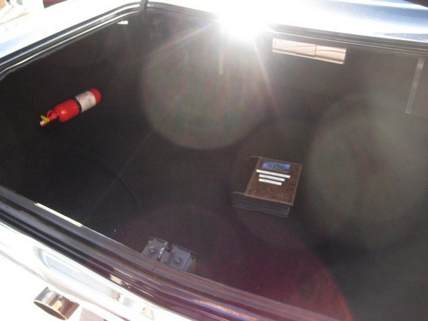 Roadrunner trunk.
