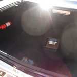 Roadrunner trunk.