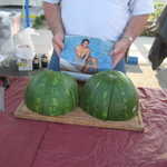 Nice melons!