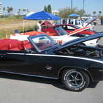 Derrick Ward Memorial car show 100