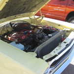 Derrick Ward Memorial car show 134