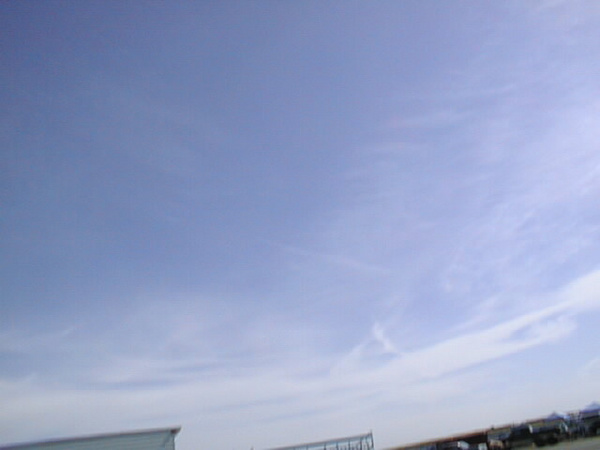 IMAGE004