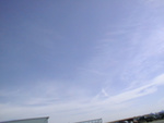 IMAGE004
