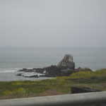 Cruise to Santa Cruz 5-2008 061