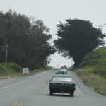 Cruise to Santa Cruz 5-2008 067