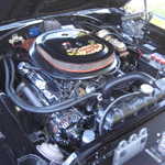 WCMC show 2008 017