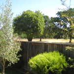 Look'n out the back door!!