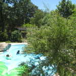 WCMC show 2008 034