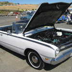 WCMC show 2008 077
