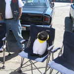 WCMC show 2008 083