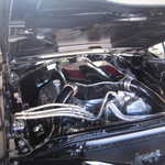 WCMC show 2008 095