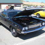 WCMC show 2008 099