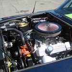 WCMC show 2008 109