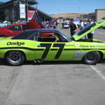 WCMC show 2008 112