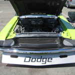 WCMC show 2008 114